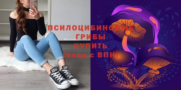 2c-b Медвежьегорск