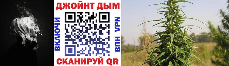 где можно купить Микунь Марихуана THC 21%